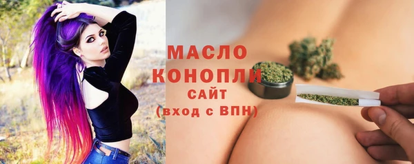 трава Ельня