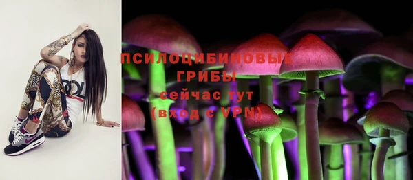 тгк Елабуга