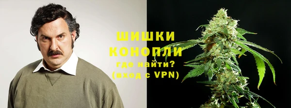 ПСИЛОЦИБИНОВЫЕ ГРИБЫ Елизово