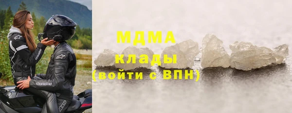 трава Ельня