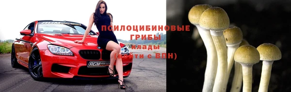 ПСИЛОЦИБИНОВЫЕ ГРИБЫ Елизово