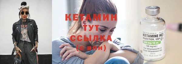 трава Ельня