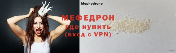 трава Ельня
