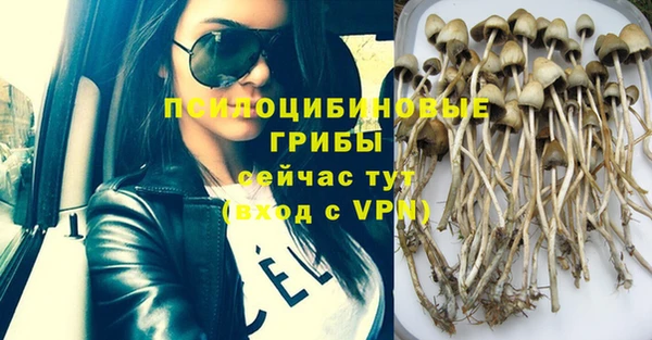 ПСИЛОЦИБИНОВЫЕ ГРИБЫ Елизово