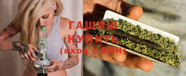 трава Ельня