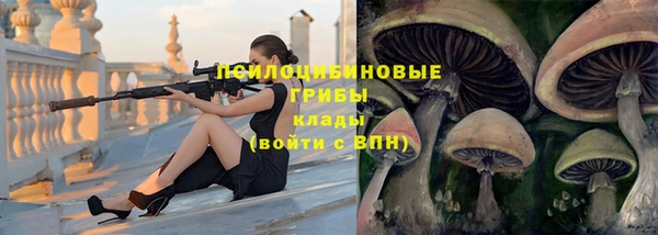 тгк Елабуга